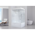 Душевая кабина Royal Bath BP RB8100BP1-T-L