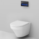 Комплект AM.PM Inspire IS450A38.501700 с сиденьем микролифт, сенсорная кнопка