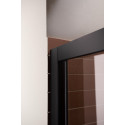 Душевая дверь в нишу Aquanet Pleasure AE60-N-120H200U-BT