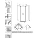 Душевой уголок Radaway Nes PTD 90x100