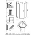 Душевой уголок Radaway Nes PTJ 80x80, L