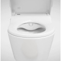 Комплект  Система инсталляции для унитазов Roca DUPLO WC 890090020 + Унитаз подвесной Roca Inspira in-wash + Кнопка смыва Roca PL1 Dual хром