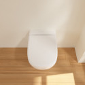 Унитаз подвесной Villeroy & Boch Antheus stone white